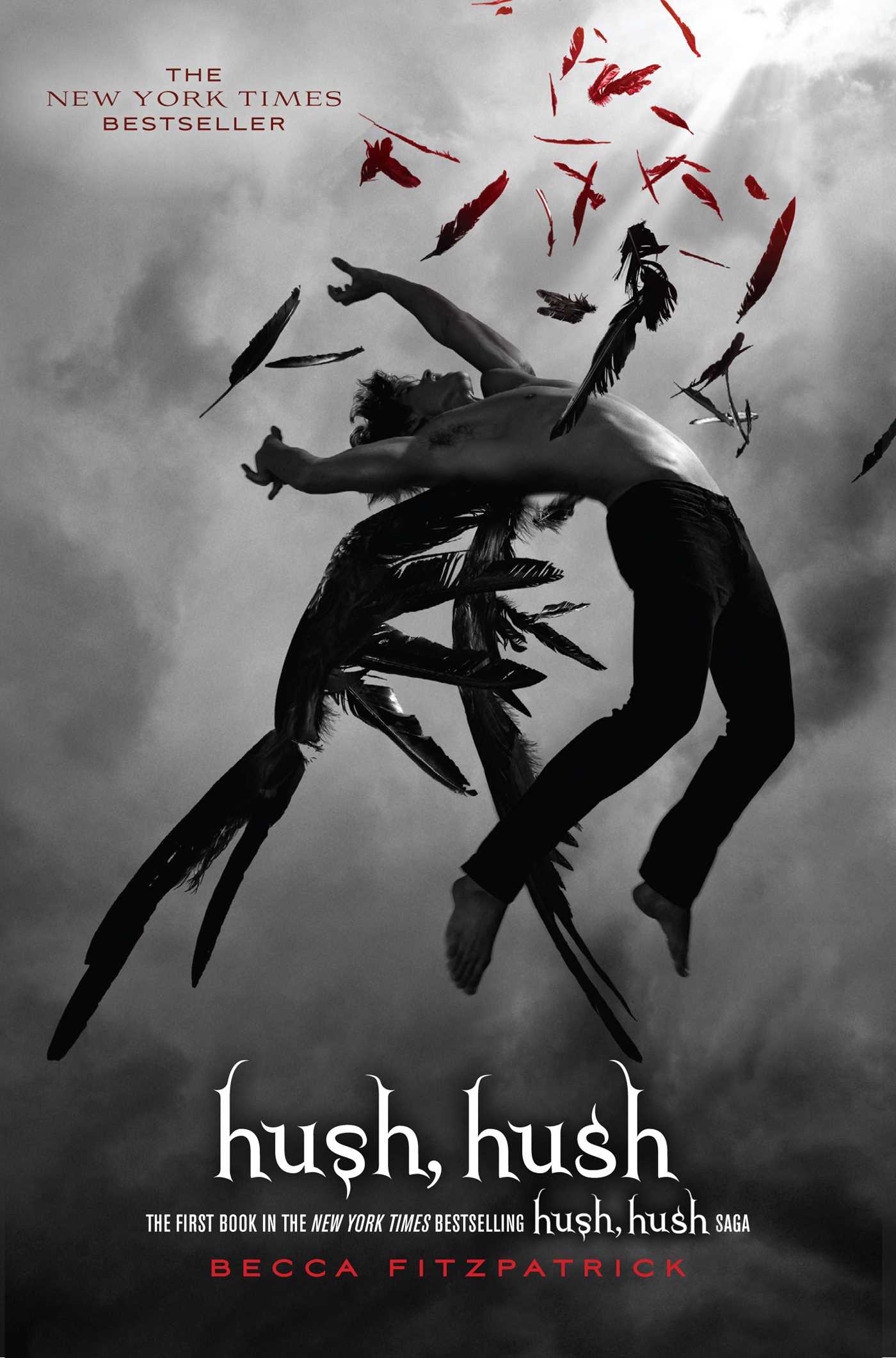 Hush Hush Book Cover